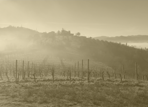 Azienda nella nebbia